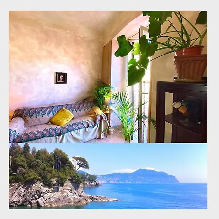 Apartment Atelier Joy - Downtown Two Steps From The Beaches *